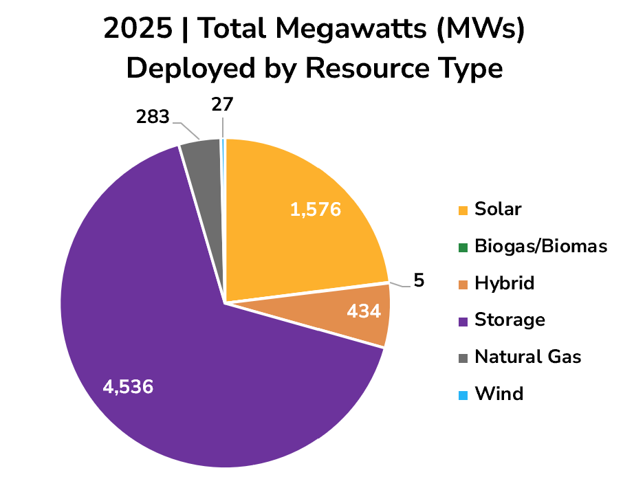 Pie Chart 3.18.25 2025 Total Expected Megawatts by Resource Type