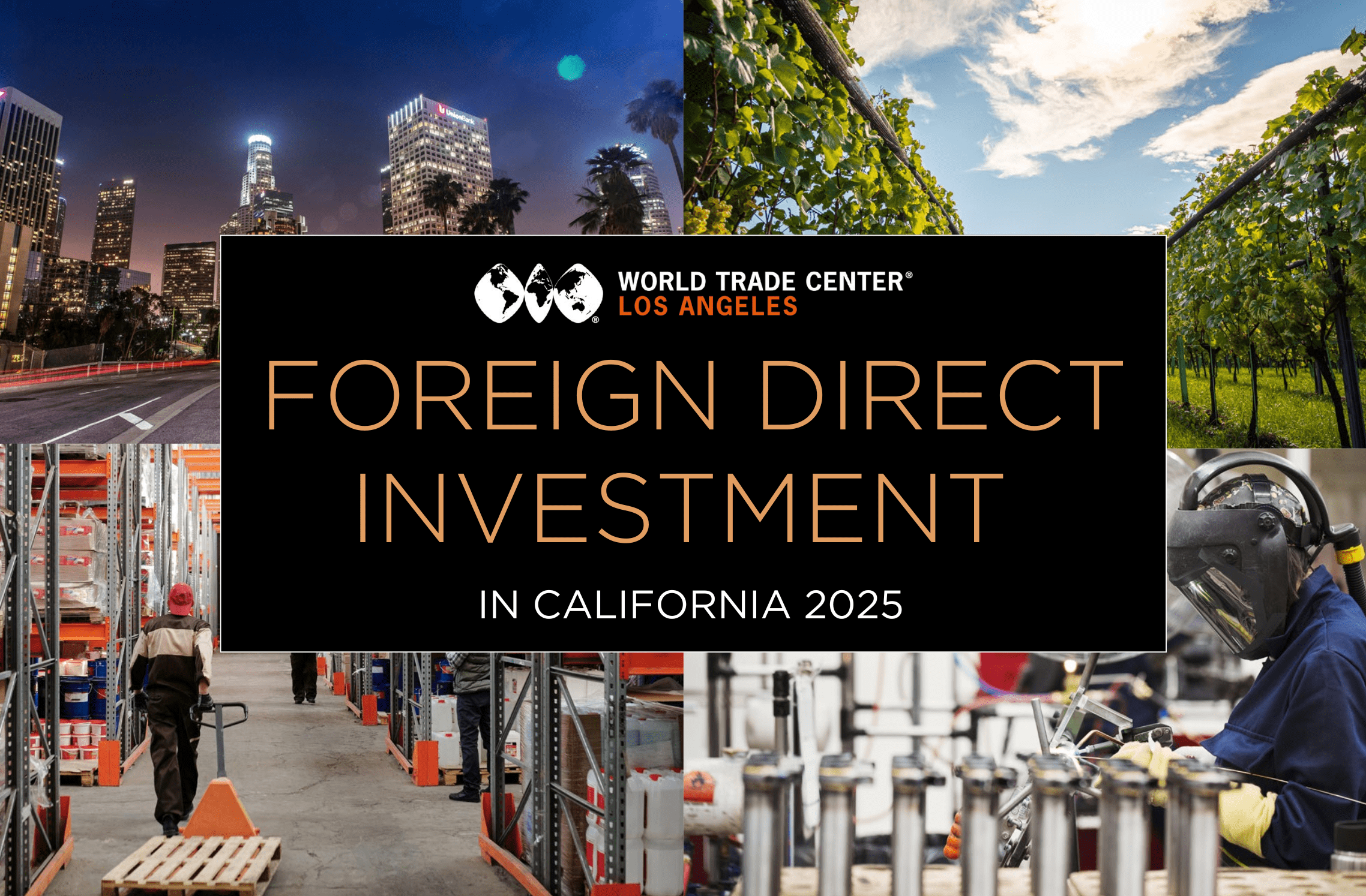 2025-FDI-Report-Crop
