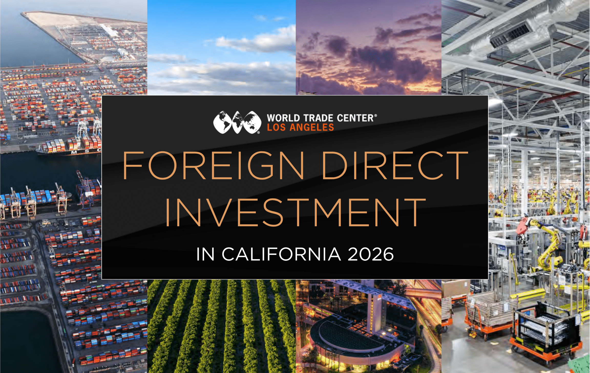 2026 FDI Report