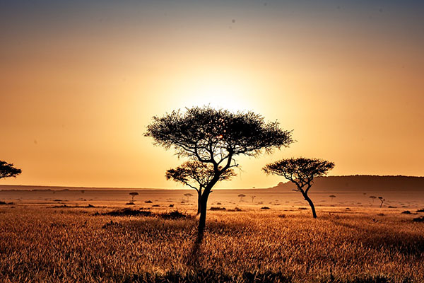 Kenya